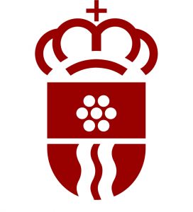 Logo Ayuntamiento Moralzarzal